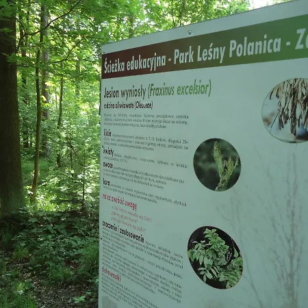 Appartement 220 Na Park Lesny Polanica-Zdrój