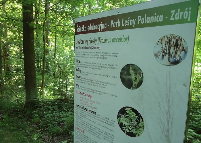 Apartment 220 Na Park Lesny Polanica-Zdroj